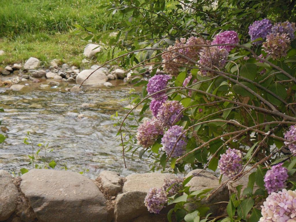 Au Bord De L'eau 3*